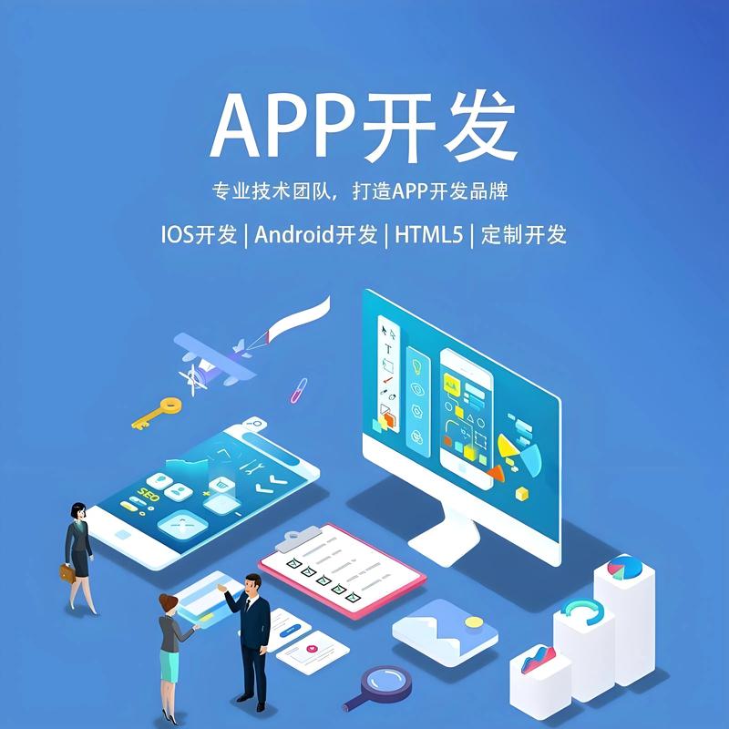 软件定制开发：应对企业个性需求的艺术